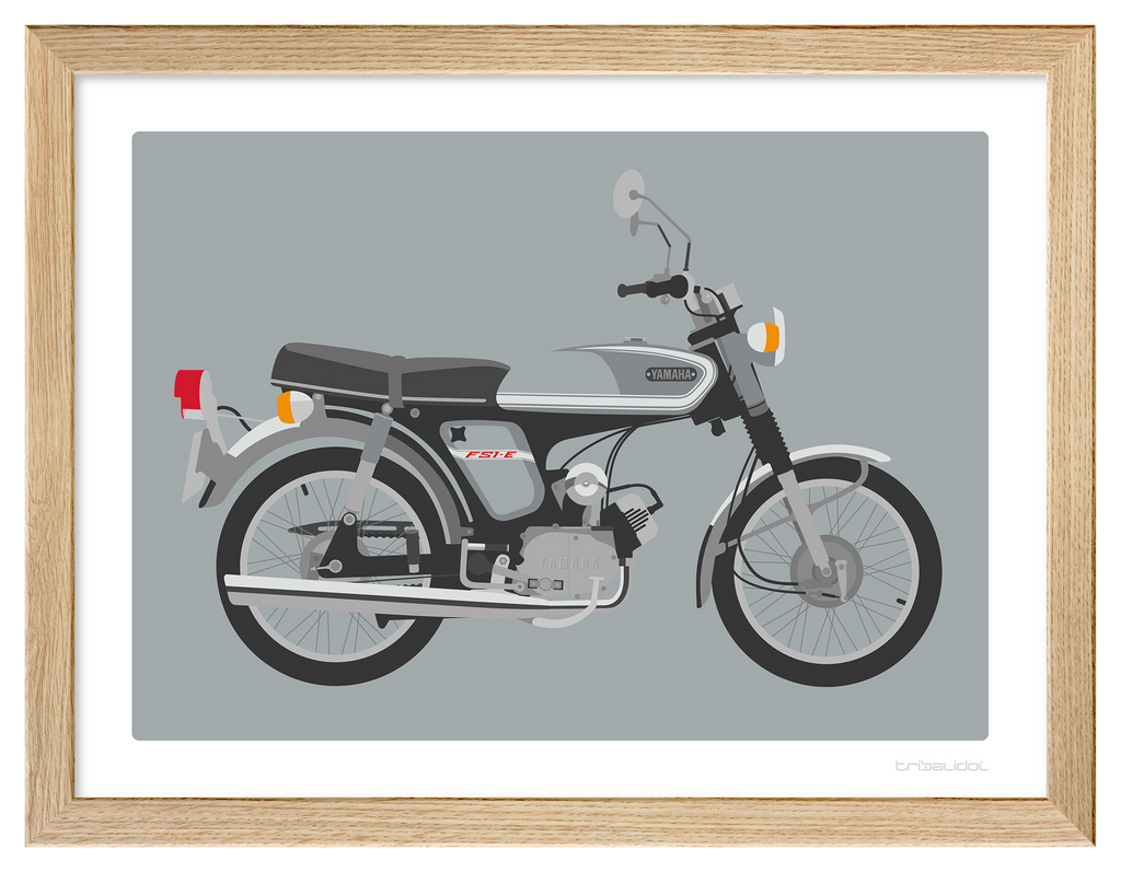 Yamaha FS1E Silver Dust